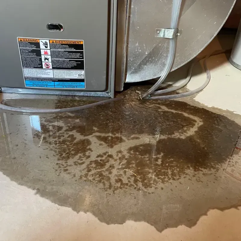 Appliance Leak Cleanup in Saratoga County, NY